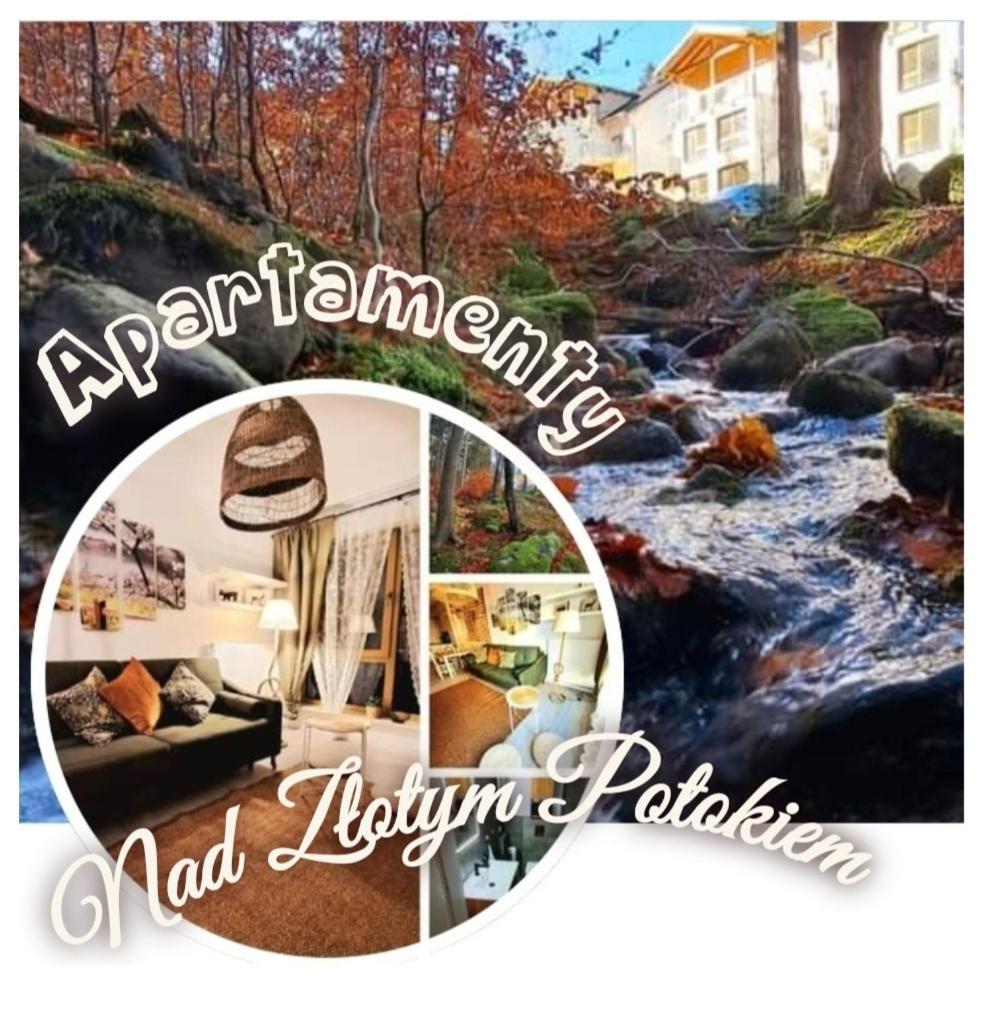 Apartamenty Nad Zlotym Potokiem 스클라르스카포렘바 외부 사진